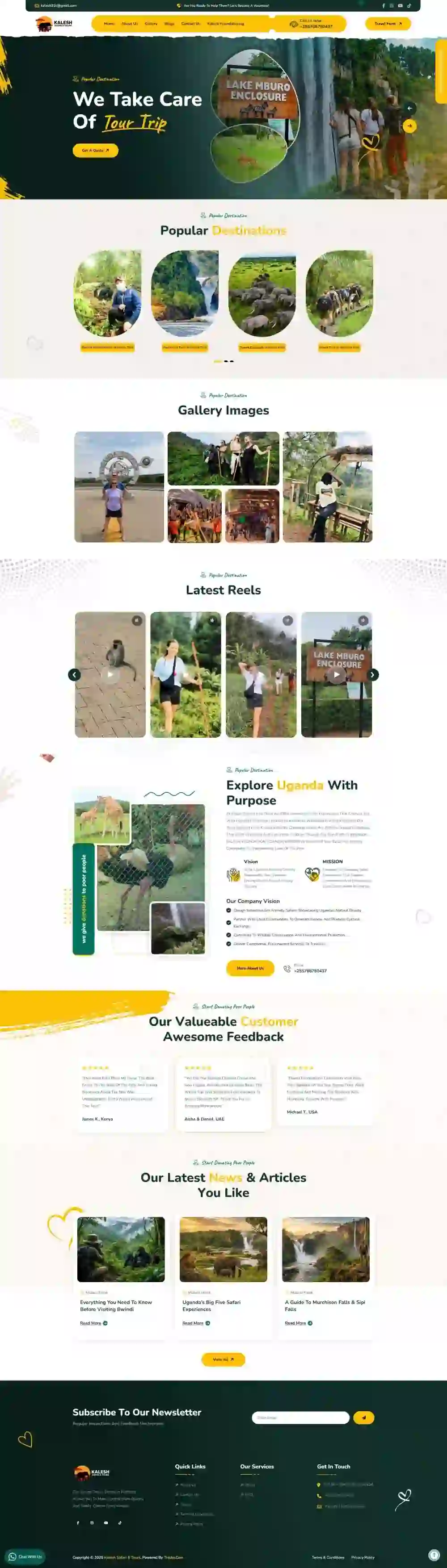 Website Preview